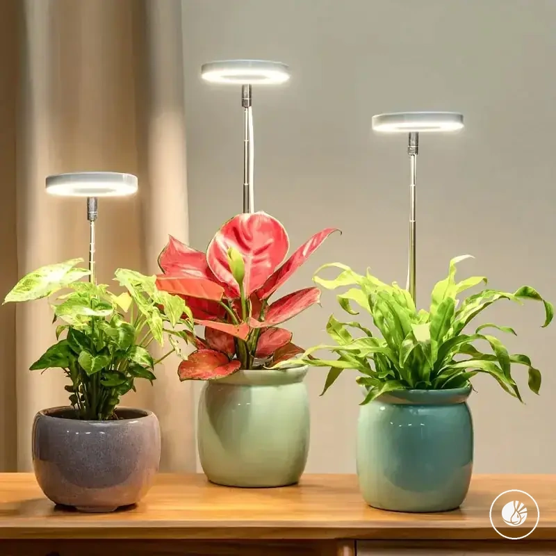 Verstellbare LED-Pflanzenlampe mit Vollspektrum und Timer für Zimmerpflanzen