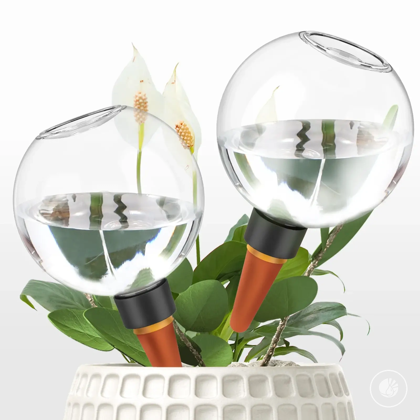 Automatic 500ml plant watering bulbs for slow drip irrigation