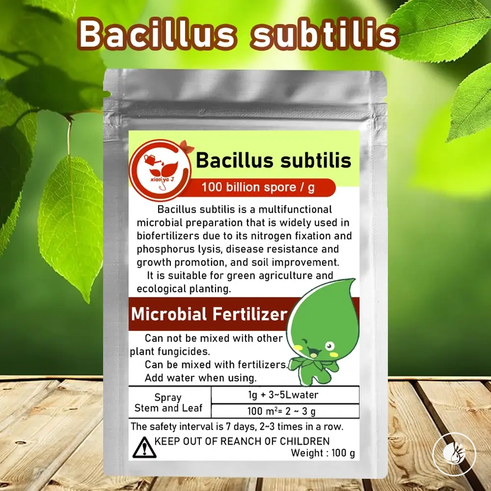 Fertilizante microbiano Bacillus subtilis para actividad del suelo agrícola